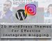 20-WordPress-themes-Effective-Instagram-Blogging-1